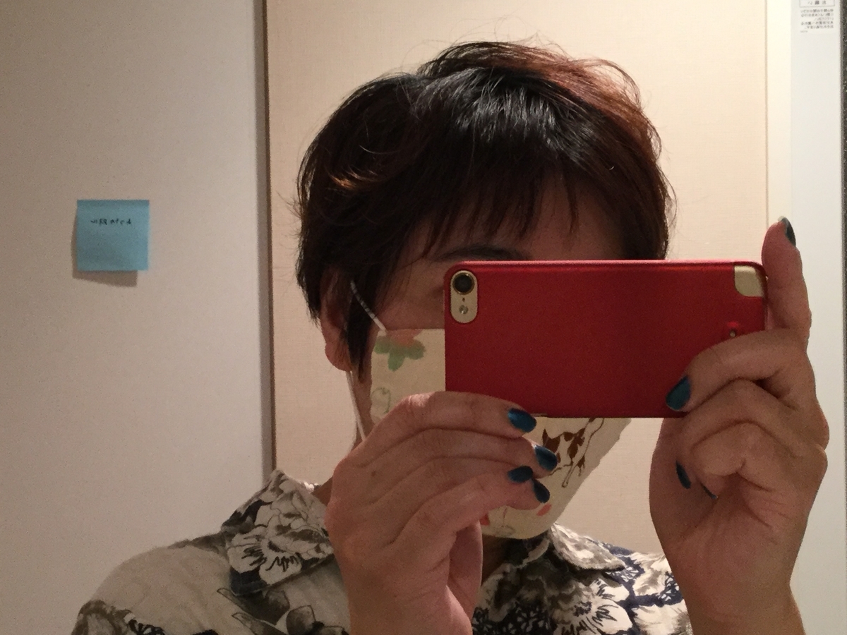 f:id:AkiraT66:20200510031615j:plain f:id:AkiraT66:20200510031615j:plain