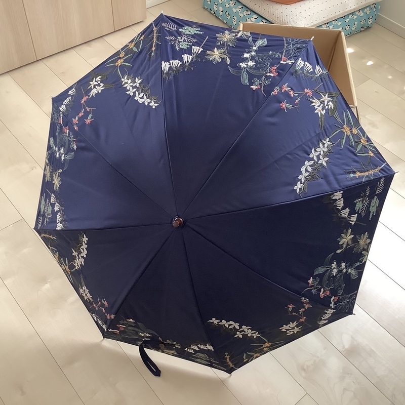 f:id:AkiraT66:20210623001857j:plain