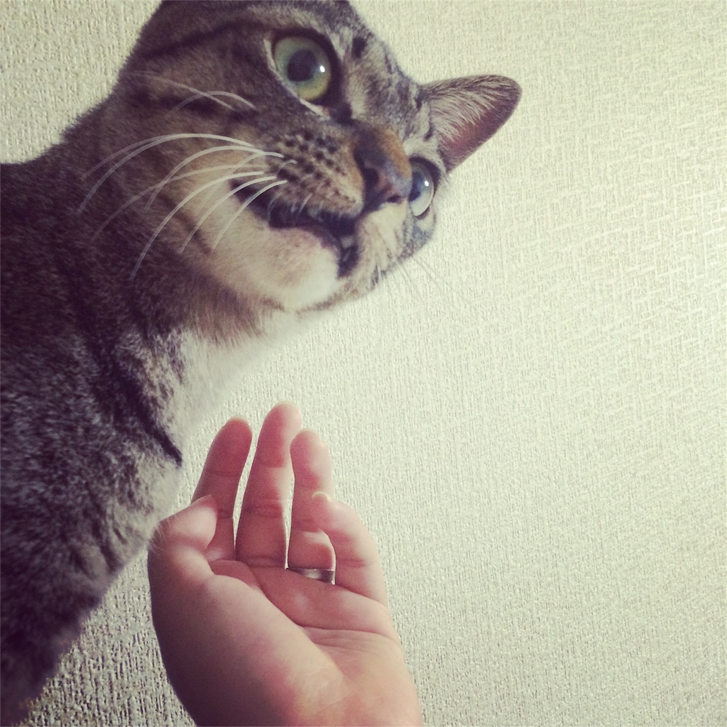 f:id:Akira_0w0:20151023075333j:image f:id:Akira_0w0:20151023075333j:image