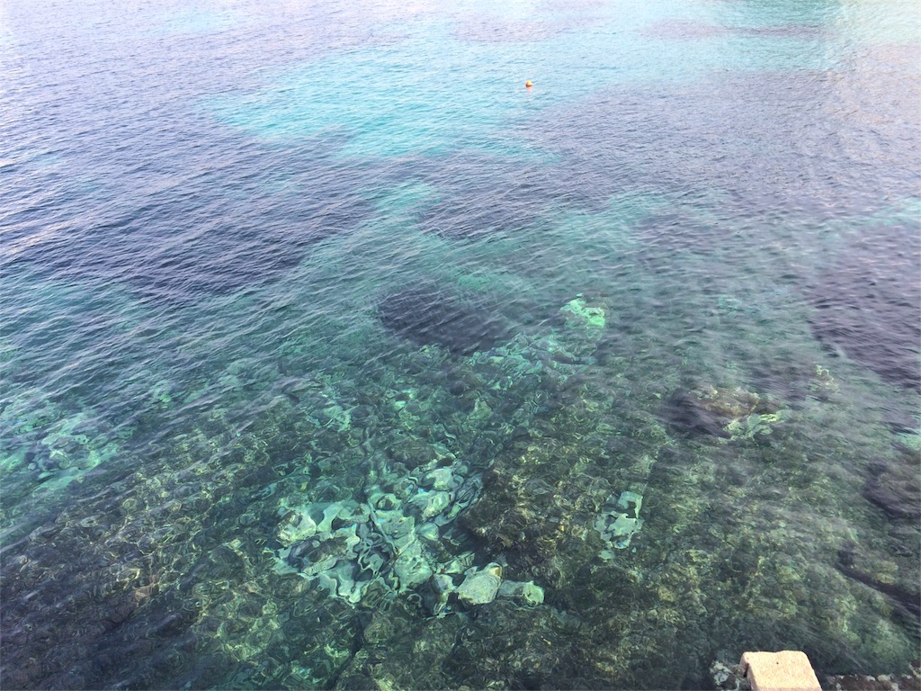 f:id:Akira_0w0:20160131031654j:image f:id:Akira_0w0:20160131031654j:image