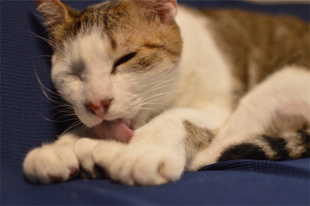 f:id:Akira_0w0:20161014152749j:image