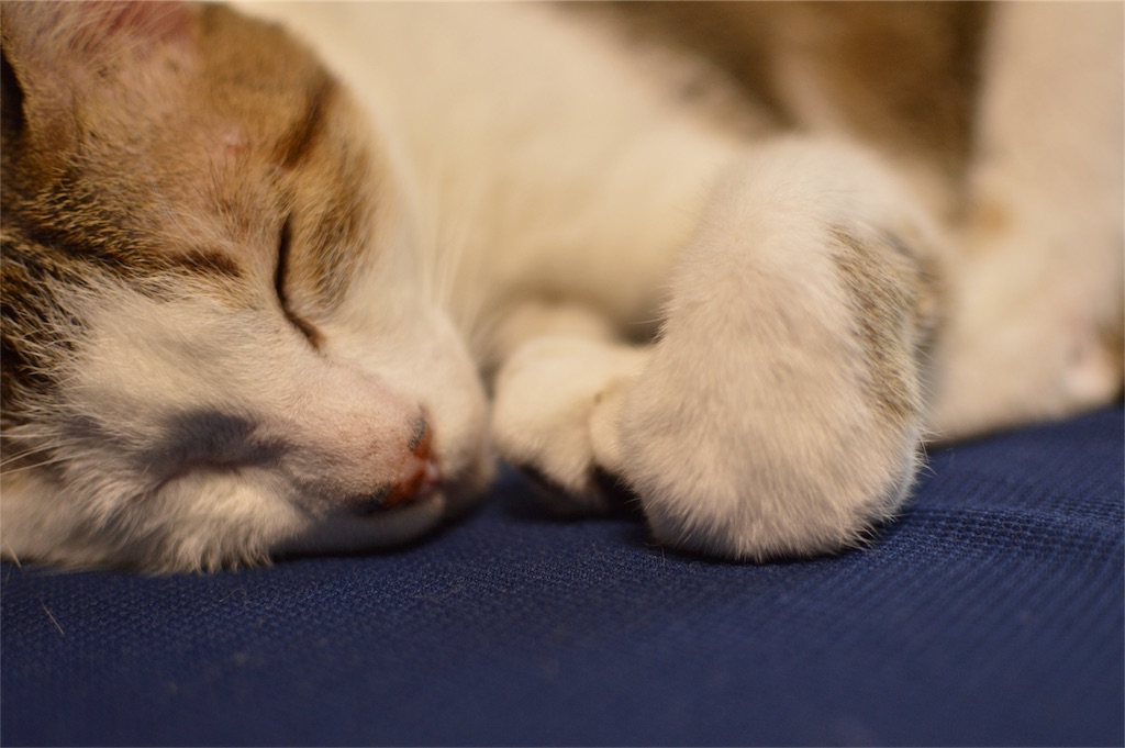 f:id:Akira_0w0:20161014152807j:image