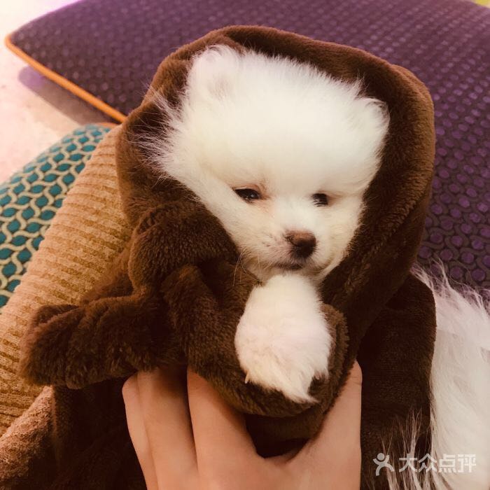 f:id:Akirasun:20190605152236j:plain