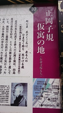 f:id:AkisaMiyona:20190320165418j:plain f:id:AkisaMiyona:20190320165418j:plain