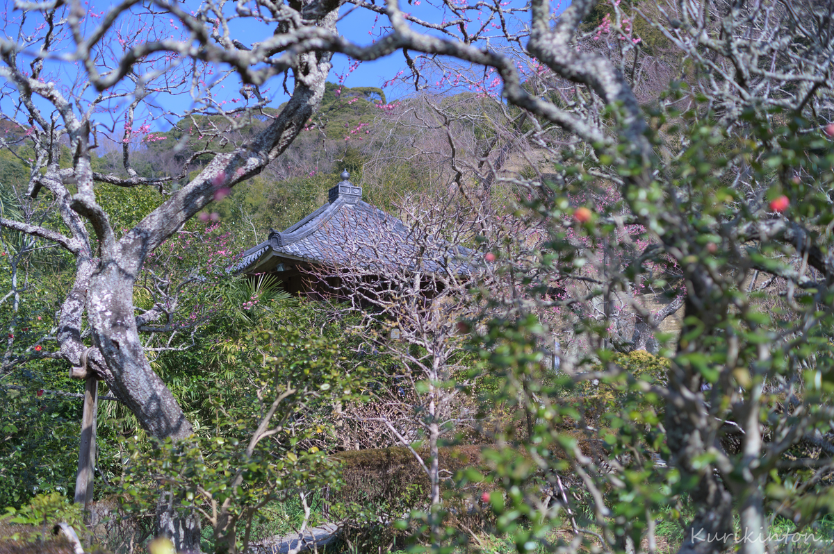 f:id:Akitonton:20210214165737j:plain