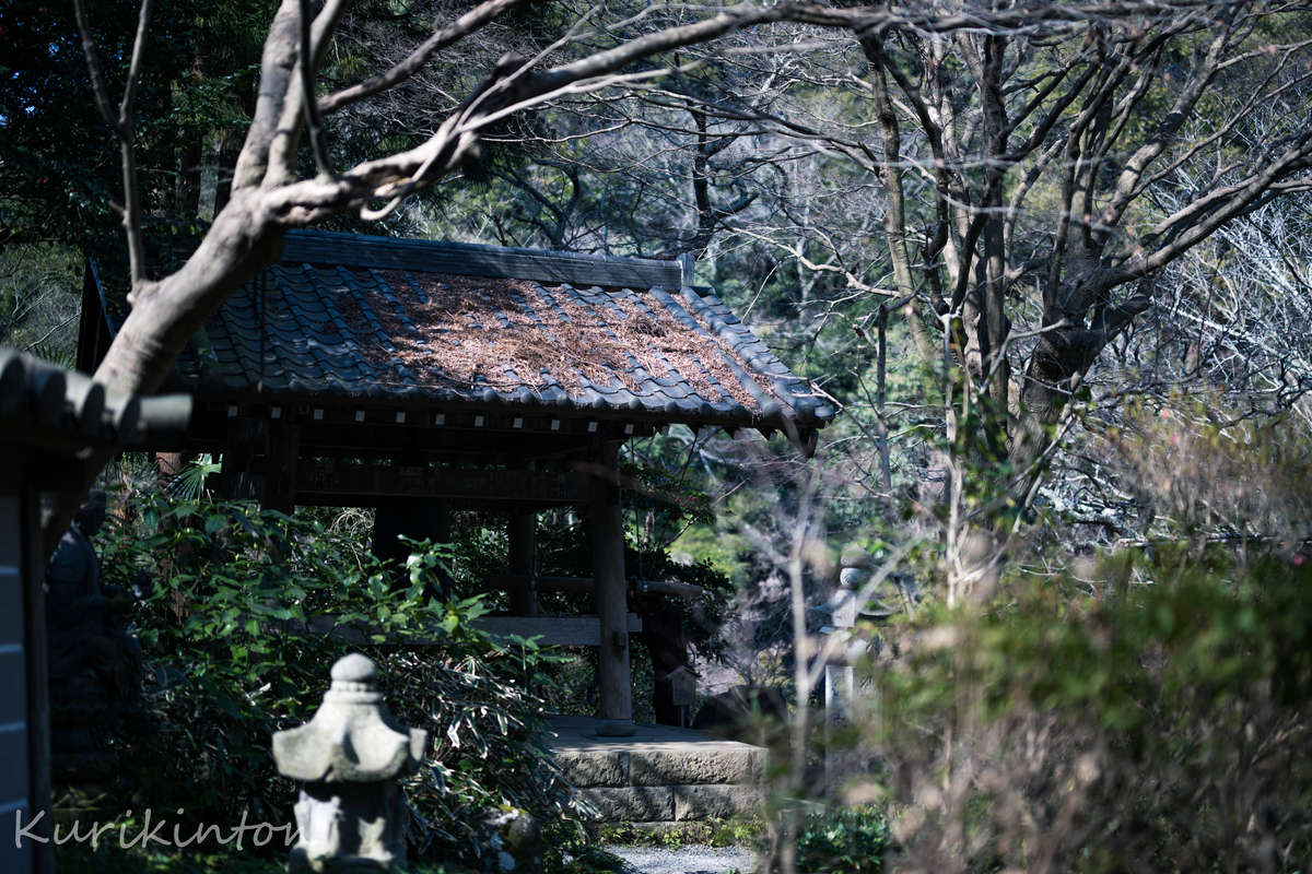 f:id:Akitonton:20210214165805j:plain