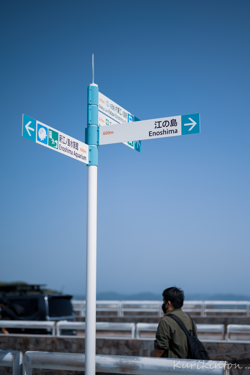 f:id:Akitonton:20210501081103j:plain