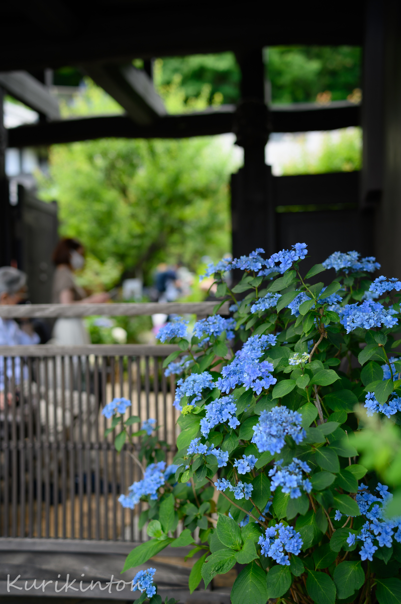 f:id:Akitonton:20210606201231j:plain