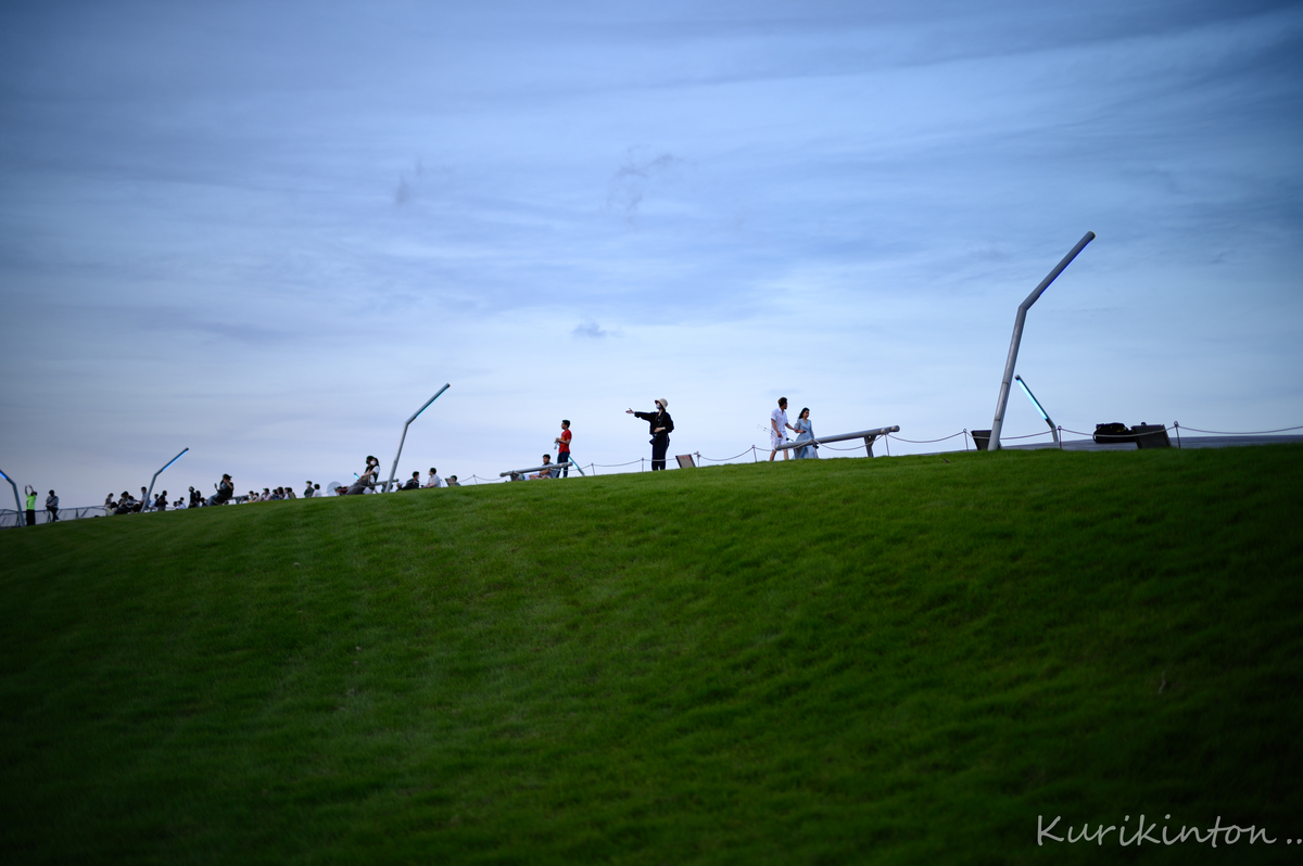 f:id:Akitonton:20210613142618j:plain