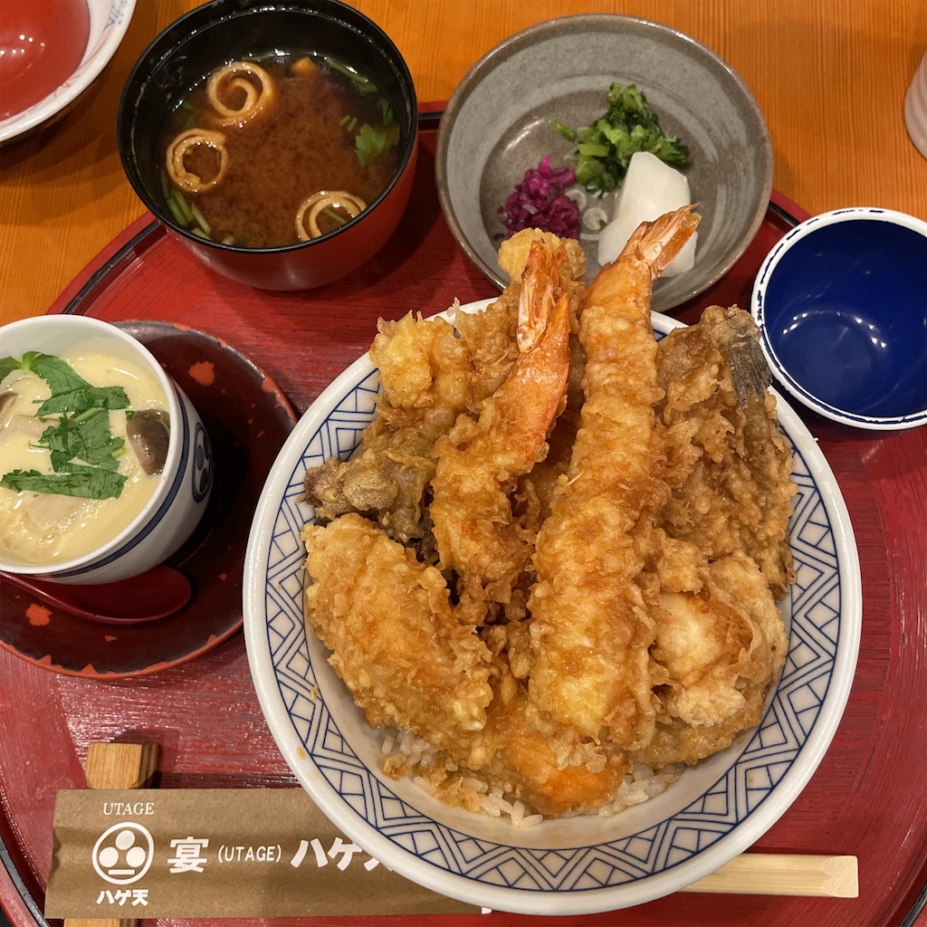 f:id:Akiyoshi_u:20241216141013j:image