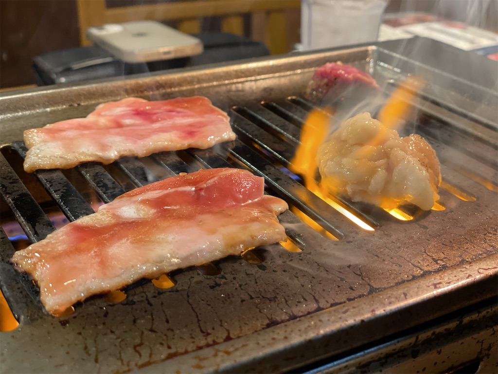 f:id:Akiyoshi_u:20250627140516j:image