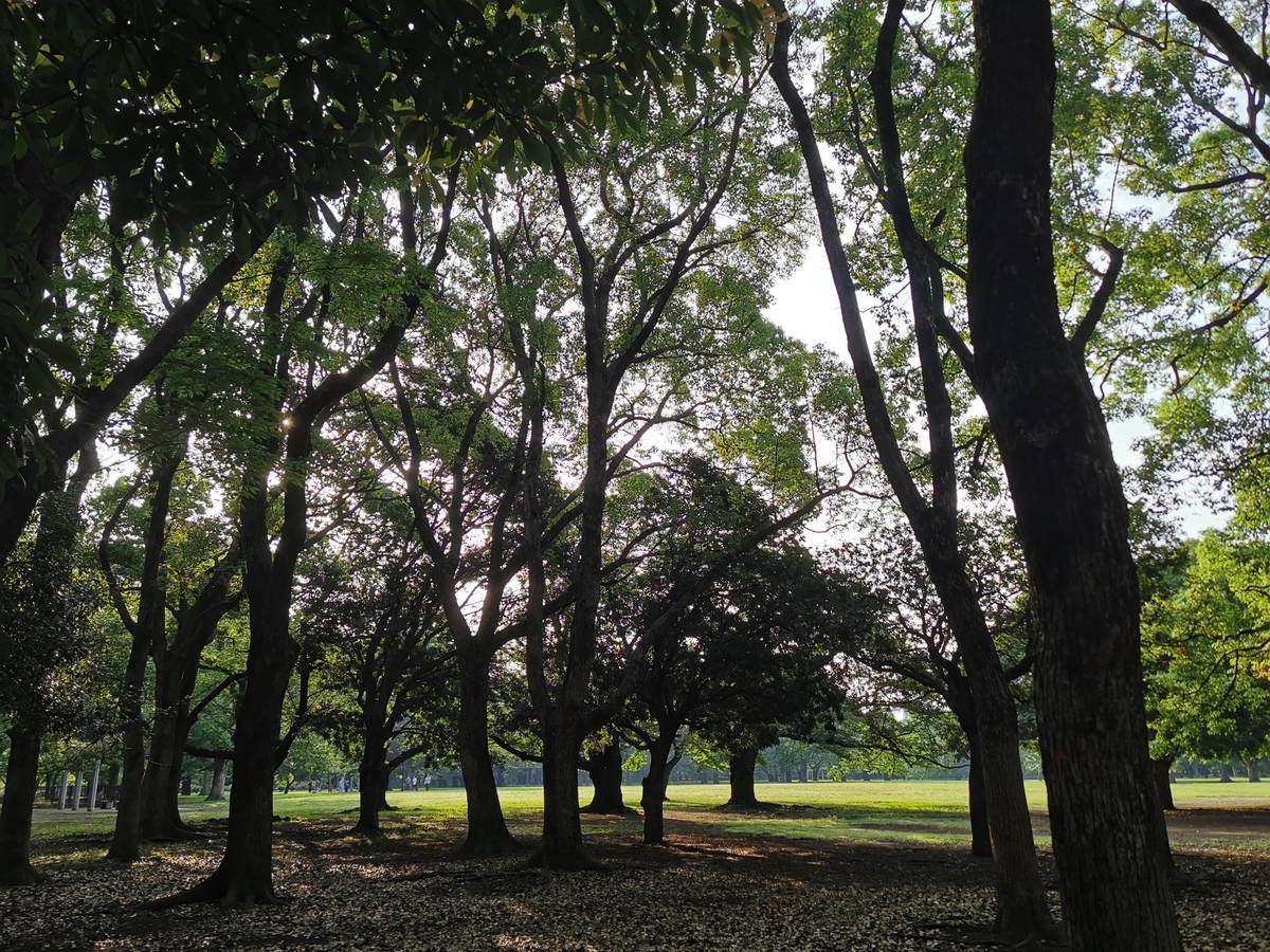 f:id:Akki_Run:20200530142730j:plain