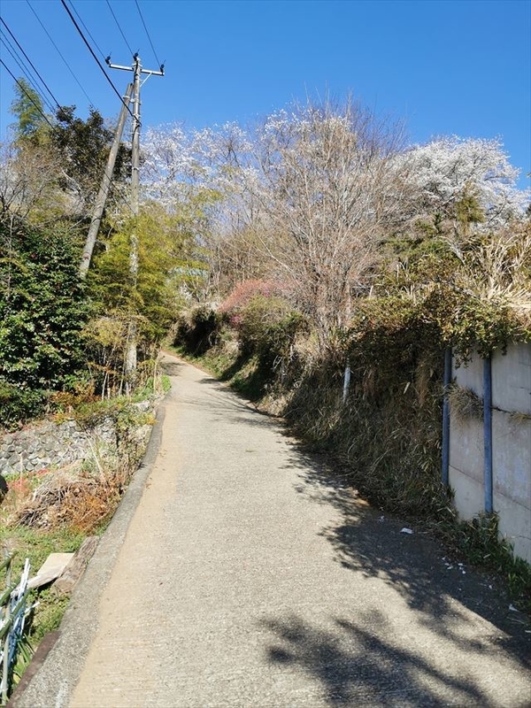 f:id:Akki_Run:20210329172812j:plain