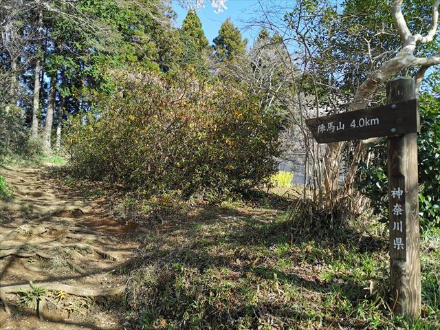 f:id:Akki_Run:20210329172818j:plain