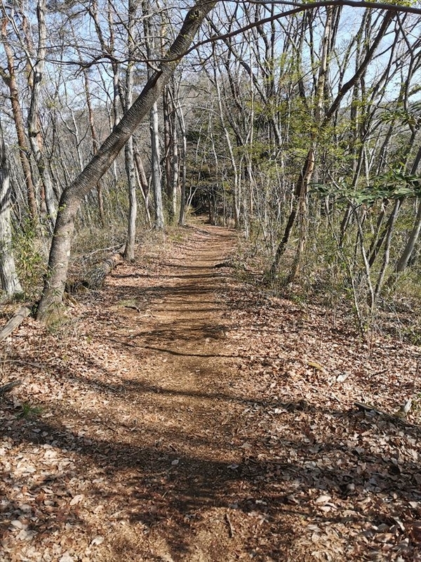 f:id:Akki_Run:20210329172828j:plain