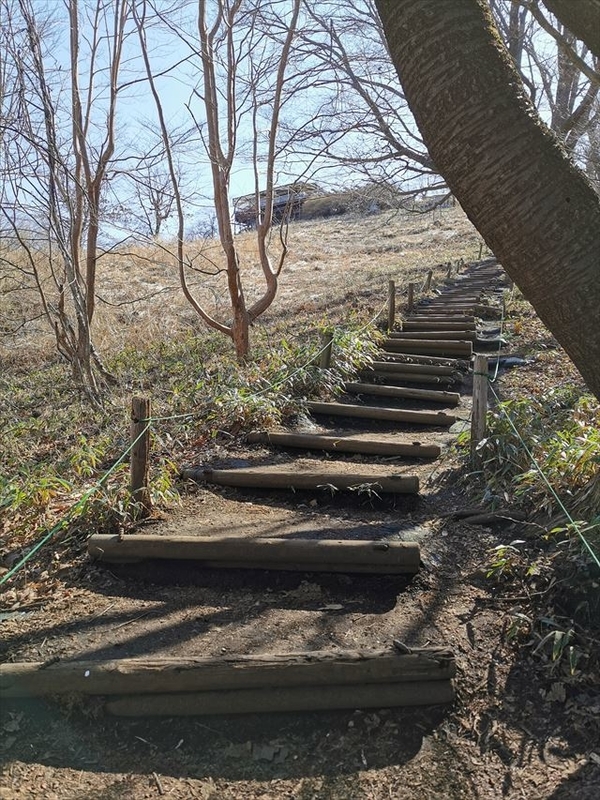 f:id:Akki_Run:20210329172841j:plain