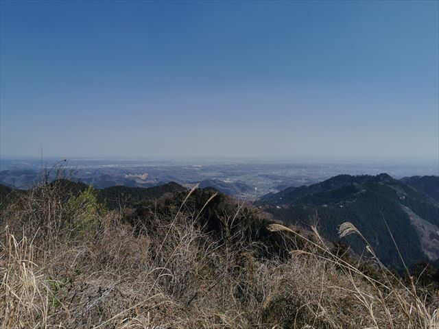 f:id:Akki_Run:20210329172935j:plain