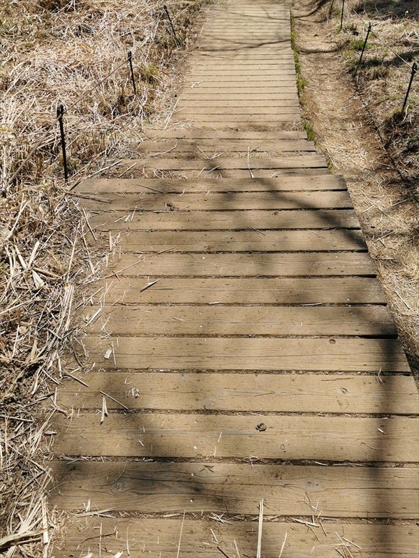 f:id:Akki_Run:20210329173044j:plain