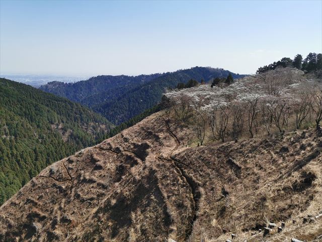 f:id:Akki_Run:20210329173052j:plain