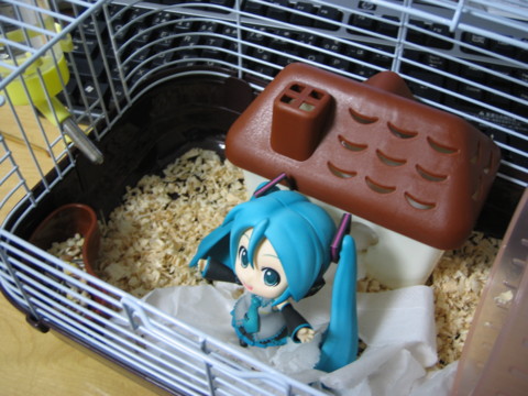 ミクの家（！？）