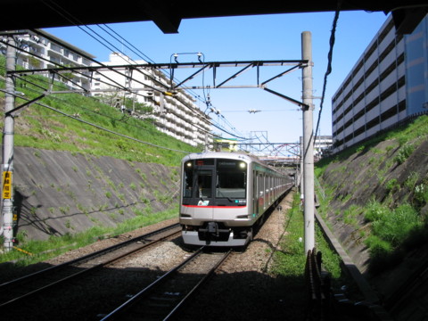 青葉台にて