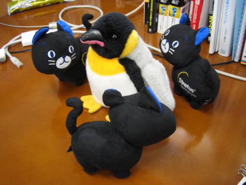 すとらたにゃん