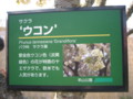 [20100502-seibu]