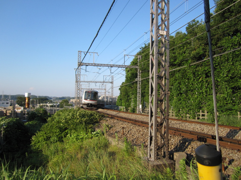 IMG_3447.JPG