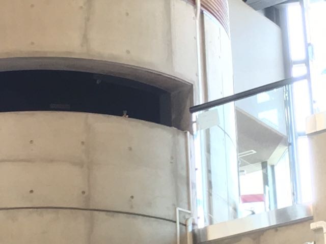 f:id:Akkiesoft:20161208230937j:plain