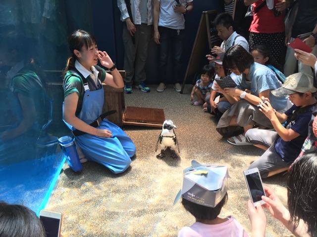 f:id:Akkiesoft:20161208232057j:plain