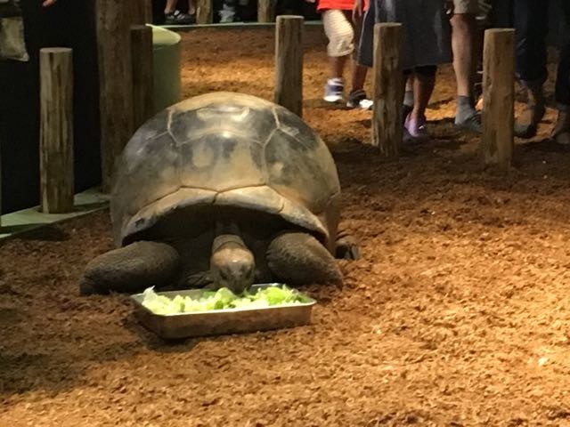 f:id:Akkiesoft:20161208232135j:plain