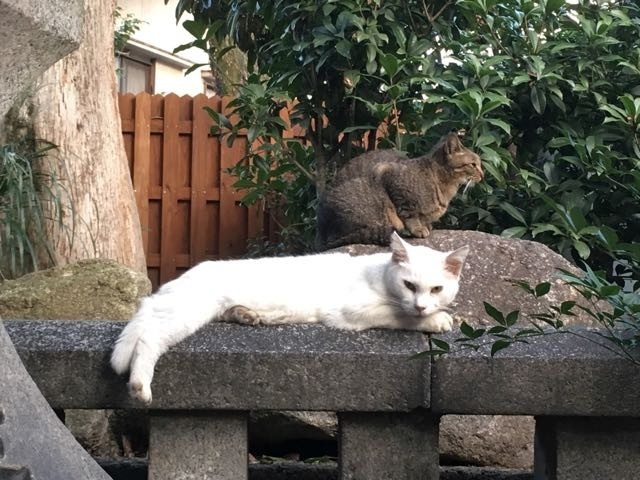 f:id:Akkiesoft:20171023151314j:plain:w400