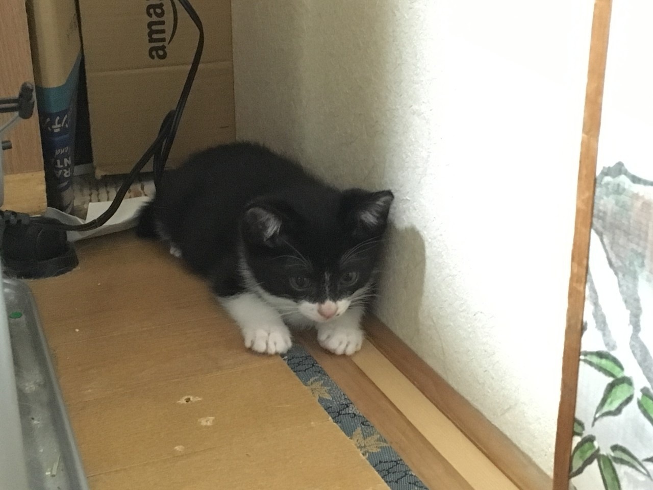 f:id:Akkiesoft:20180712191210j:plain:w640