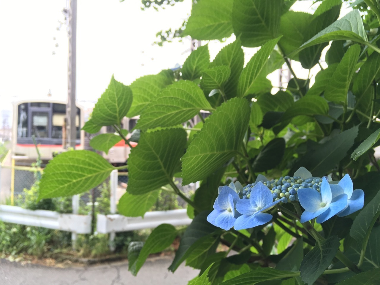 f:id:Akkiesoft:20190609172145j:plain:w640