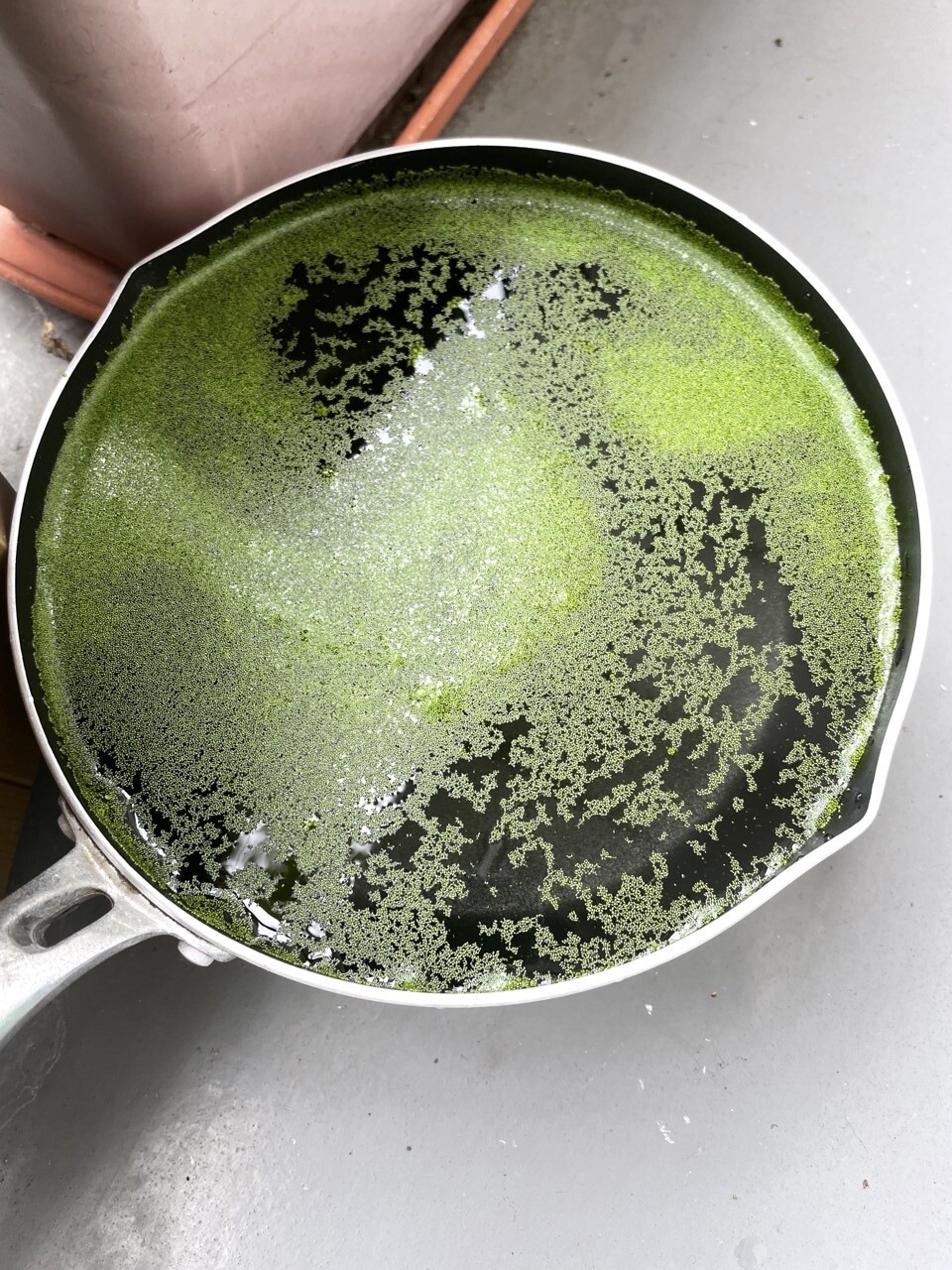 f:id:Akkiesoft:20211007132630j:plain