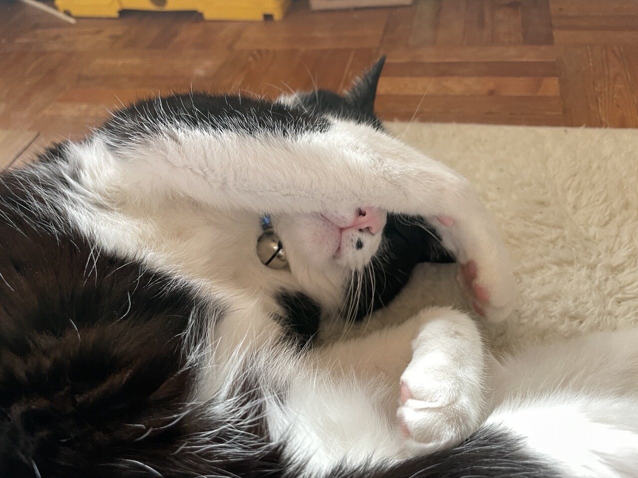 f:id:Akkiesoft:20211102222257j:plain