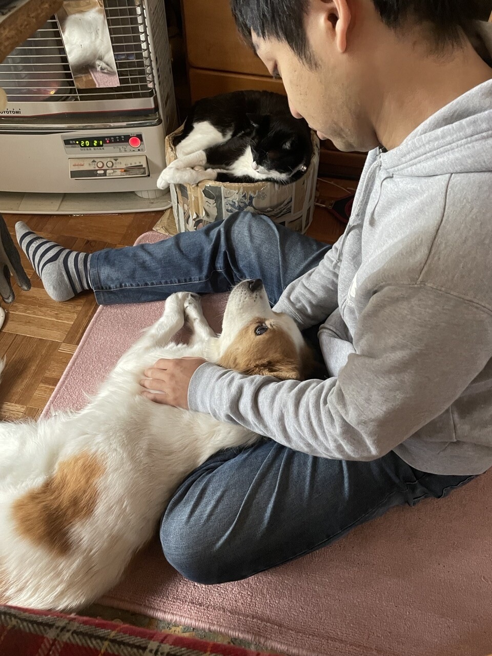 f:id:Akkiesoft:20211109163409j:plain