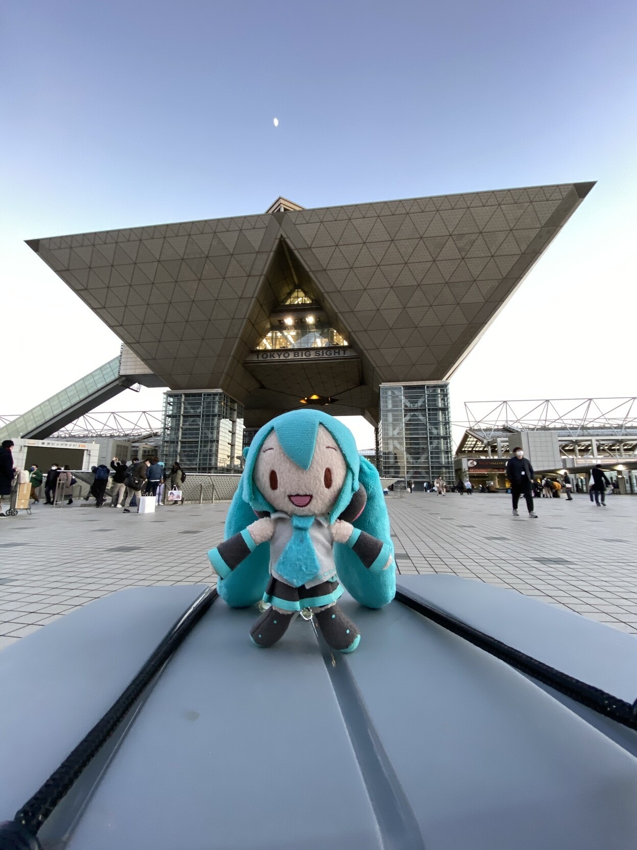 コミケ84 サプライセット　D.C. コミケ84 サプライセット D.C. Amazon.co.jp: コミケ84 サプライ