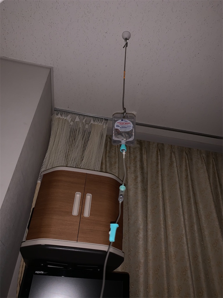 f:id:Akkosan:20210112071905j:image