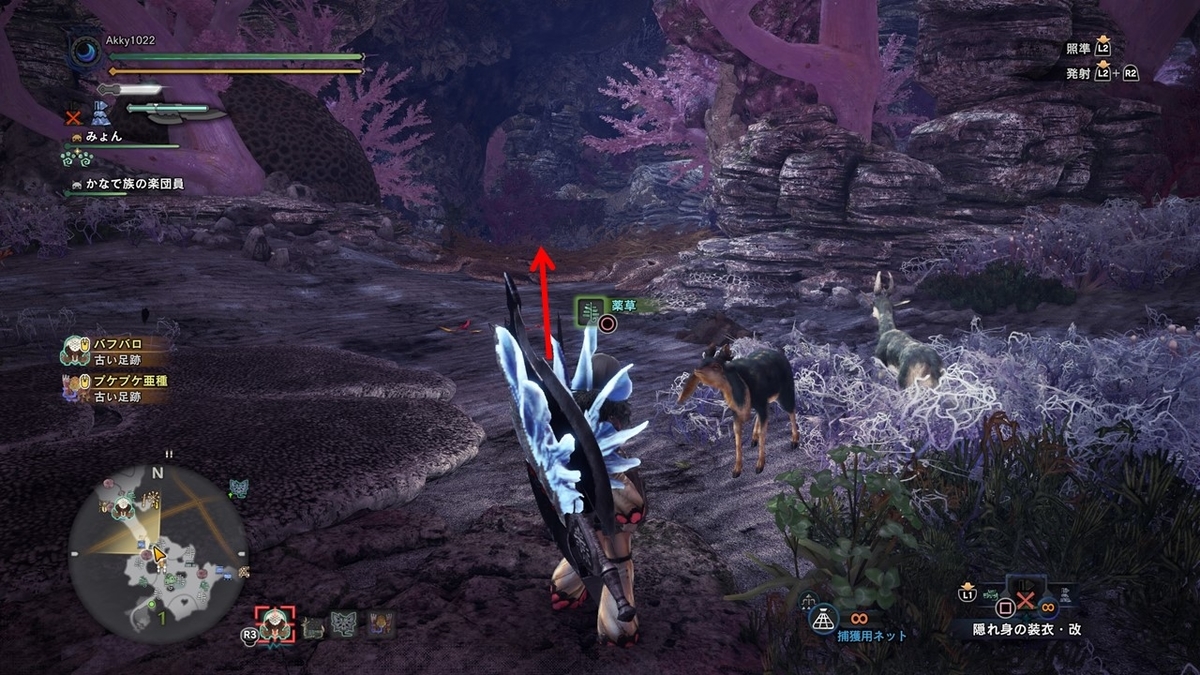 依頼その10 音色の裏には 観察依頼攻略 台地のかなで族編 モンスターハンターワールド アイスボーン 今んとこ無題