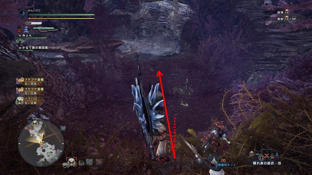 依頼その10 音色の裏には 観察依頼攻略 台地のかなで族編 モンスターハンターワールド アイスボーン 今んとこ無題