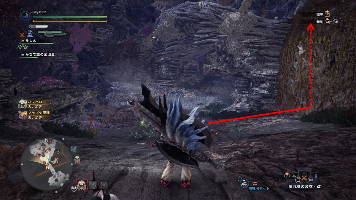 依頼その10 音色の裏には 観察依頼攻略 台地のかなで族編 モンスターハンターワールド アイスボーン 今んとこ無題