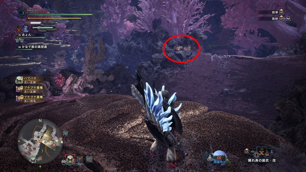 依頼その10 音色の裏には 観察依頼攻略 台地のかなで族編 モンスターハンターワールド アイスボーン 今んとこ無題