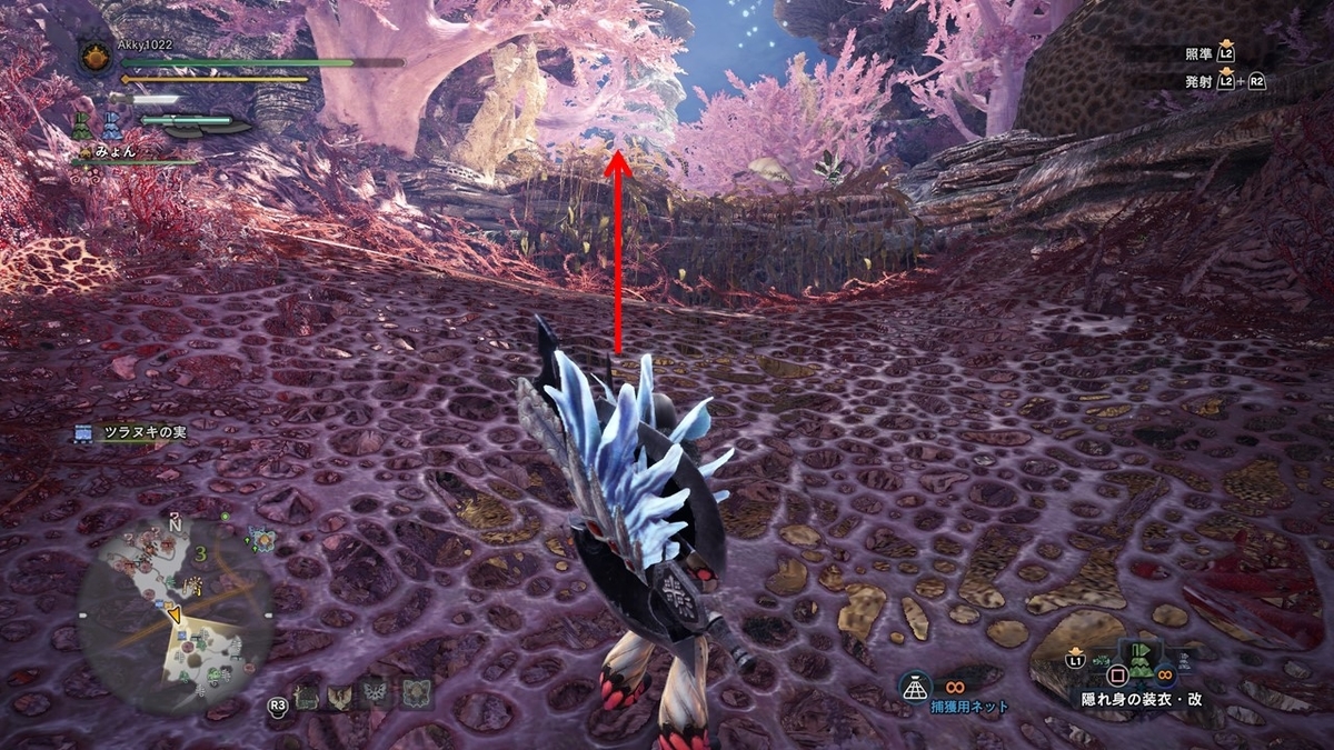 f:id:Akky1022:20190913124602j:plain