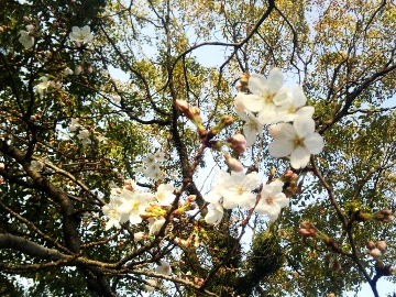 f:id:Alegria:20100317080315j:image f:id:Alegria:20100317080315j:image