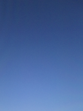 f:id:Alegria:20100319084700j:image f:id:Alegria:20100319084700j:image