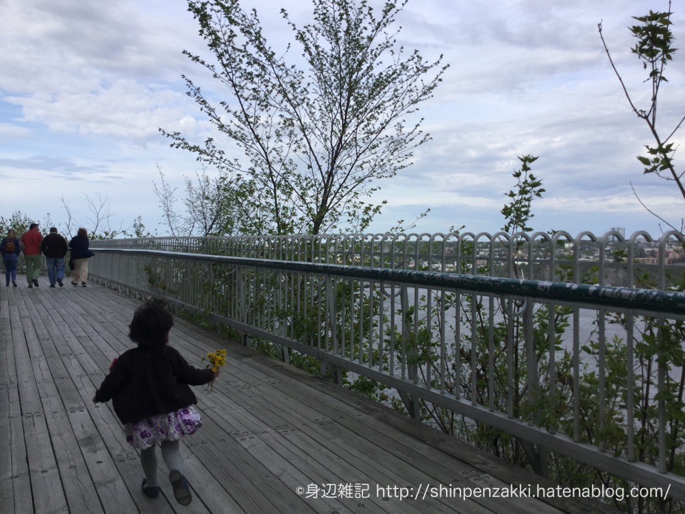 f:id:Alex_29:20180314091426j:plain f:id:Alex_29:20180314091426j:plain