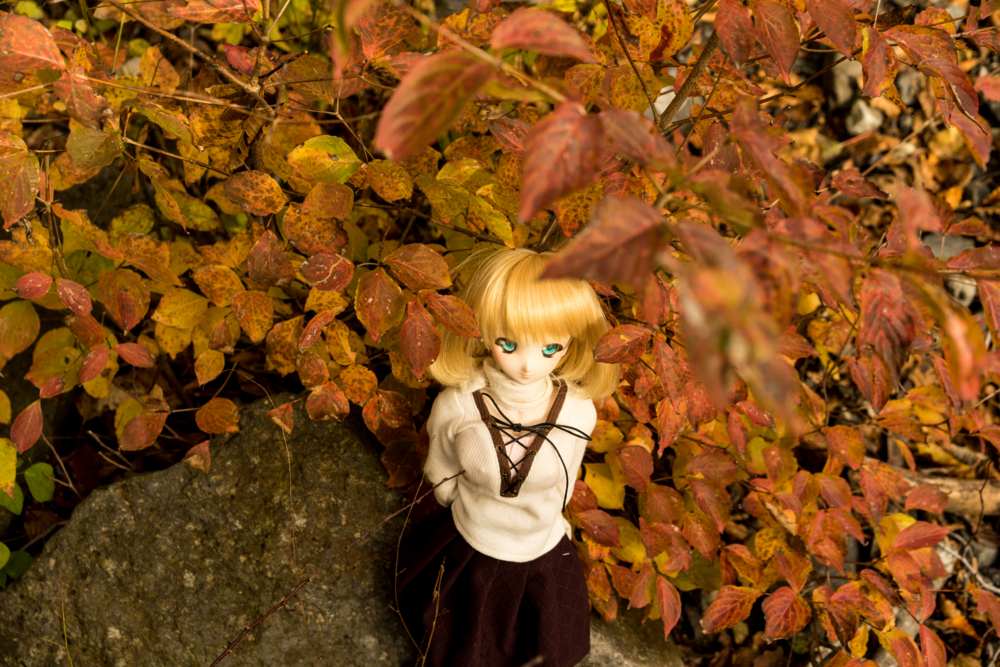 f:id:AliceSheila:20161104012238j:plain:w500