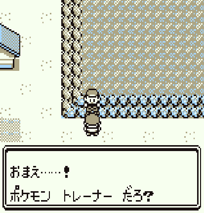 初代ポケモン 壁とは既にそこにあるもの バグ画像 Wonderland Seeker