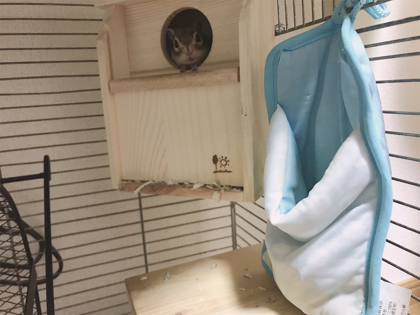 f:id:Alicetan:20190907085411j:image f:id:Alicetan:20190907085411j:image
